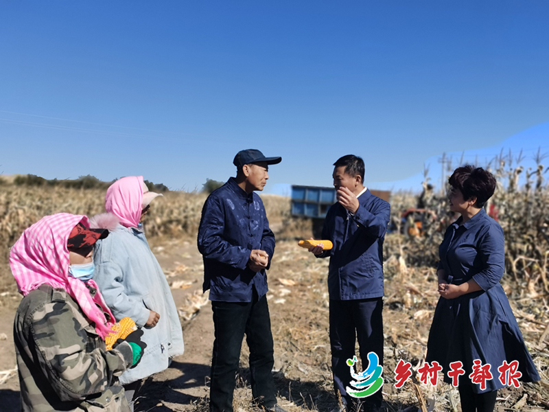 內蒙古突泉縣委書記圖王審(屈振年（右2）在田間地頭了解產業發展情況2.jpg