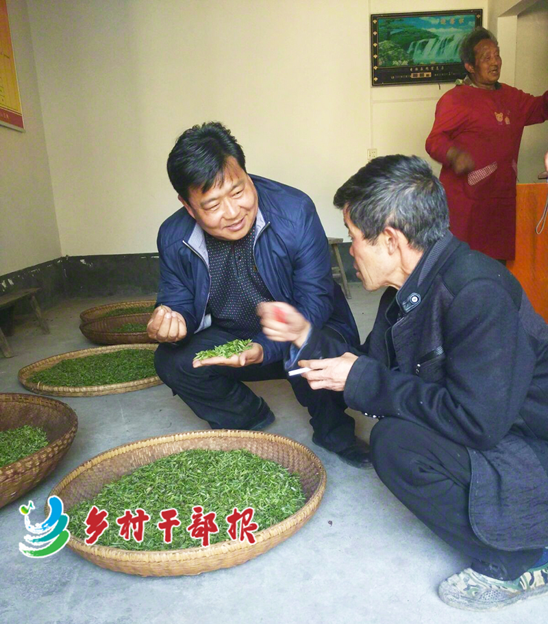 辛華（左）在種植戶家中查看茶葉品質2.jpg